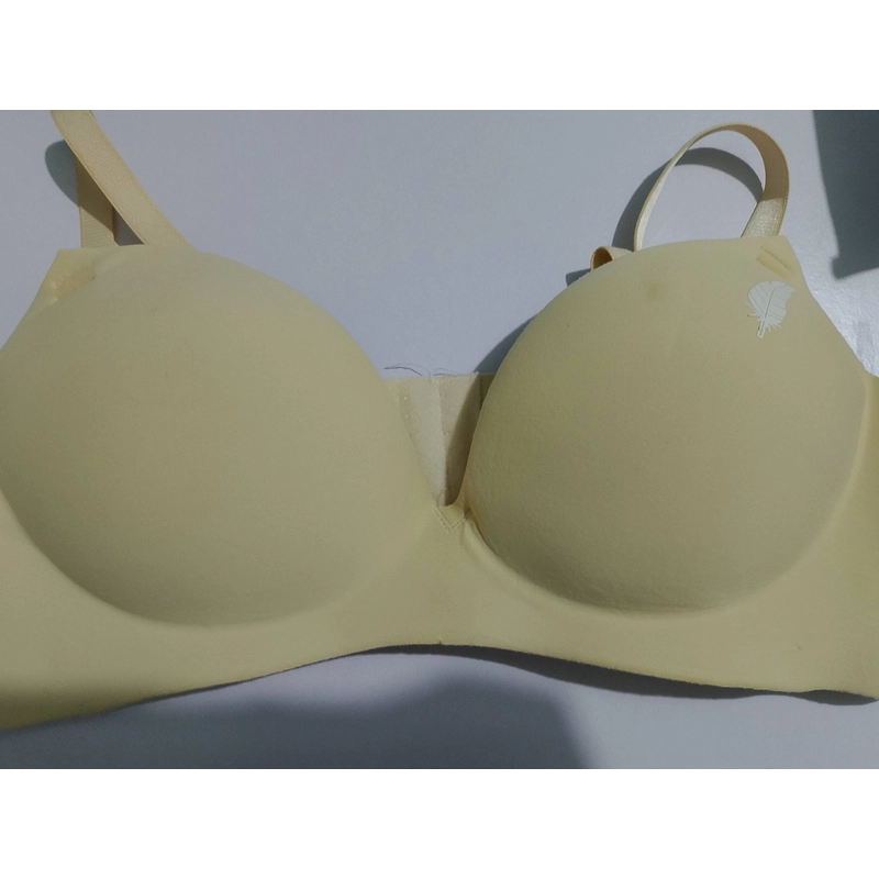 Áo Lót Nữ Đúc Su Lông Vũ Không Gọng Đệm Dày Bàn Tay 506361
