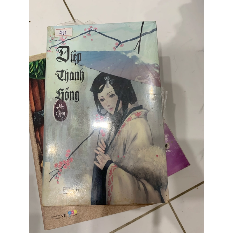 Truyện Diệp thanh hồng 478870