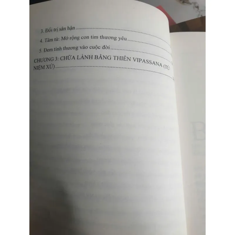 Sách Chữa lành nỗi đau - Phật Giáo Nguyên Thủy 660281