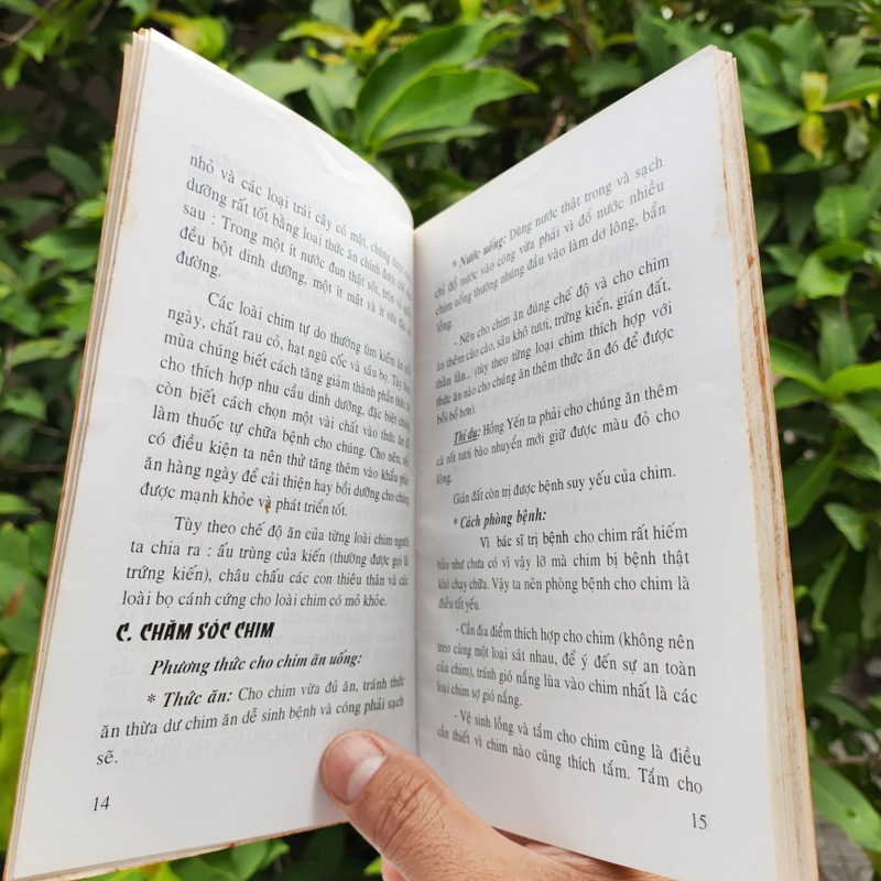 Kỹ Thuật Nuôi Dạy Các Loài Chim - Lê Thanh - Nhã Uyên 532118