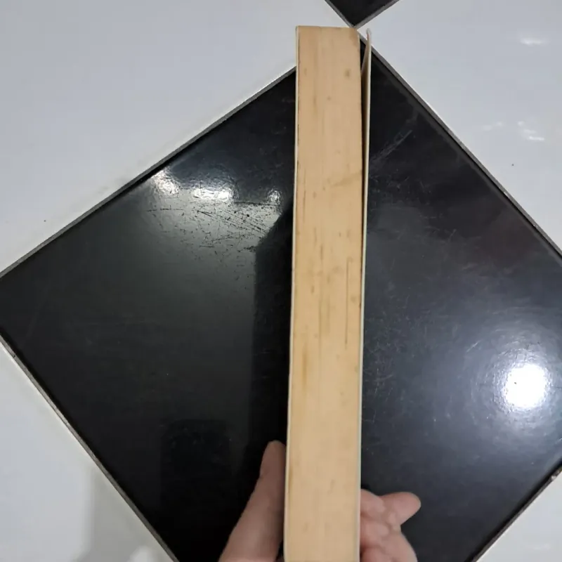 Điều bí mật 1006856