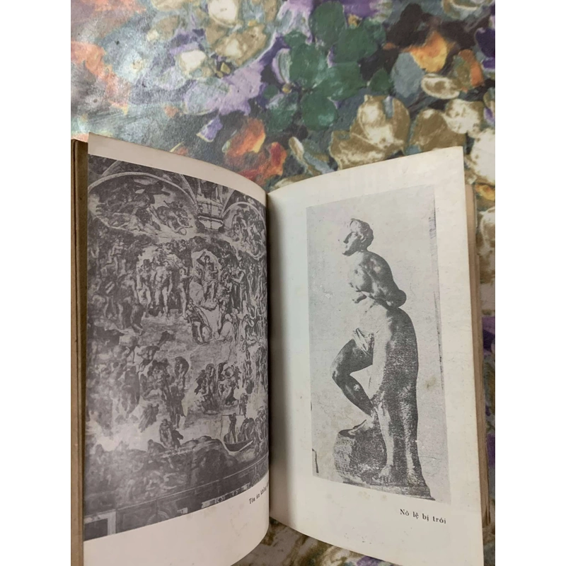 Mi-ken-lan-giê-lô (Michelangelo) 543696