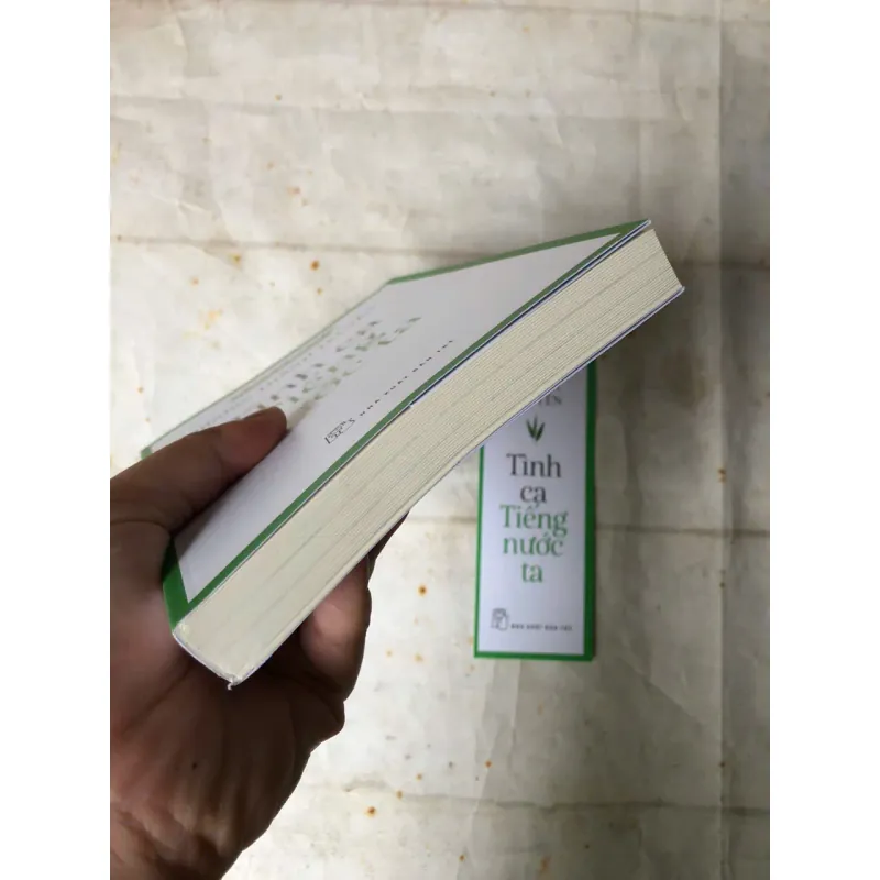 Tình Ca Tiếng Nước Ta - Dương Thành Truyền 800980