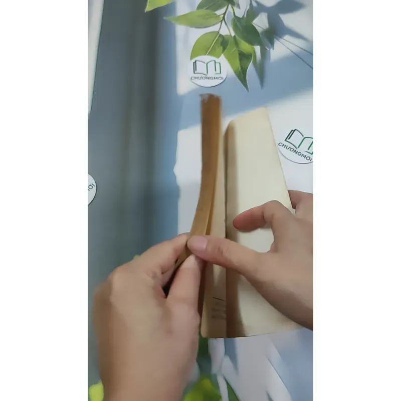 [MIỄN PHÍ BỌC SÁCH] [XƯA] Tuổi Trẻ Bác Tôn, Bác Tôn Với Tuổi Trẻ  (1998) 776048