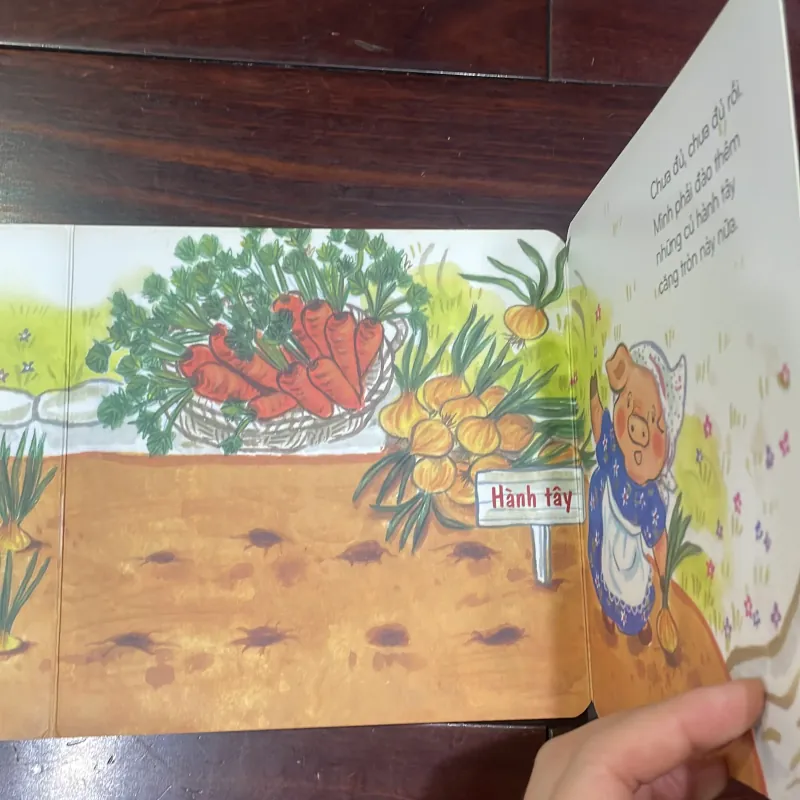 KHO BÁU CỦA BÁC LỢN - phát triển trí não sớm cho trẻ - nxb Giáo dục  1028185