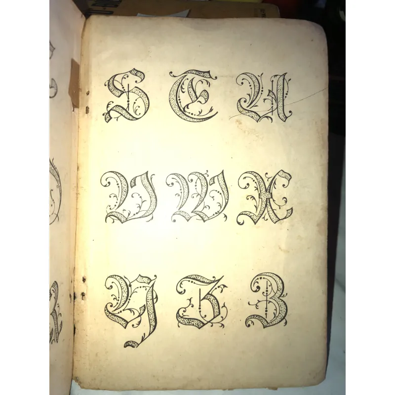 Những mẫu chữ đẹp - Ban sưu tập sống mới 1001172