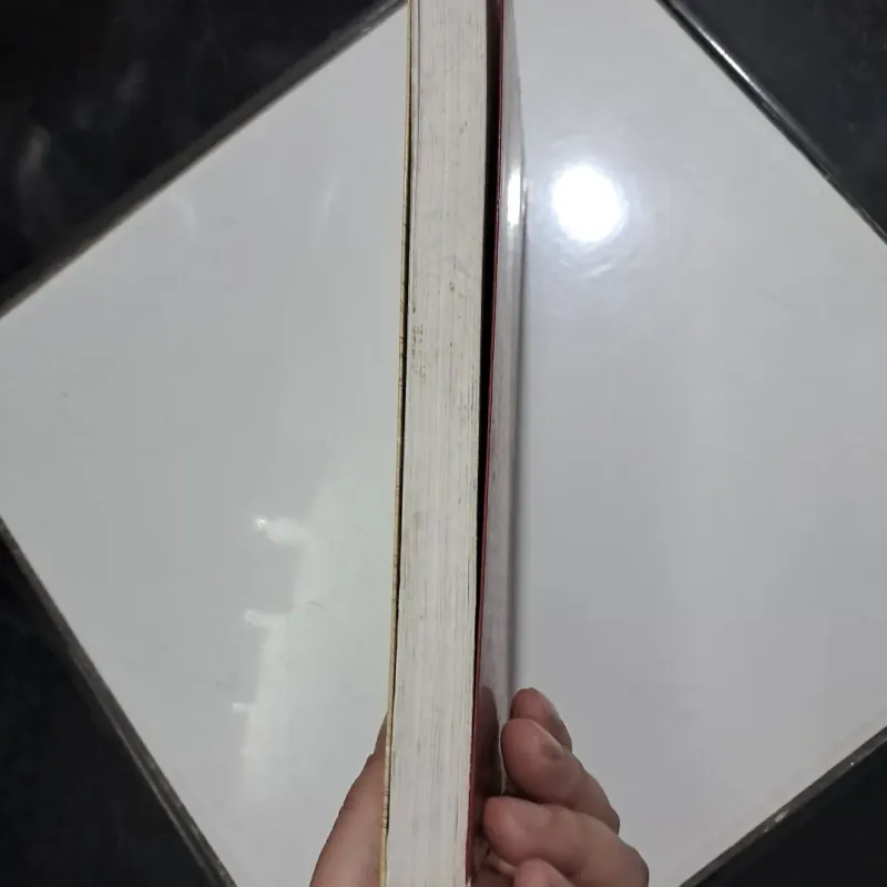 Chuyện tình Lệ Giang - Hoa Nam 1003208