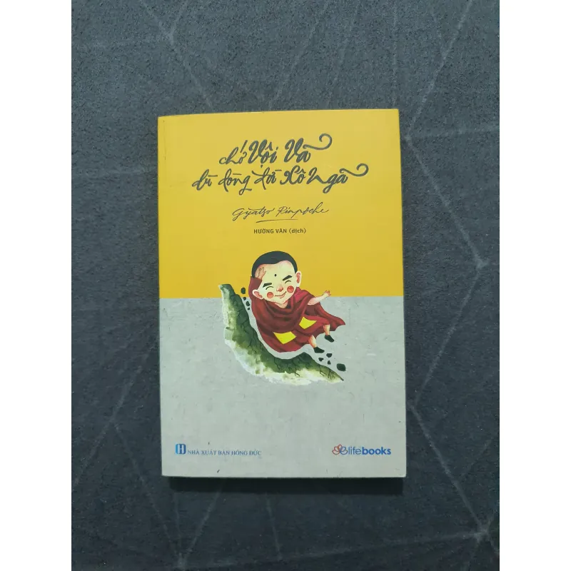 "Chớ vội vã dù dòng đời xô ngã" - Gyatso Rinpoche 757181