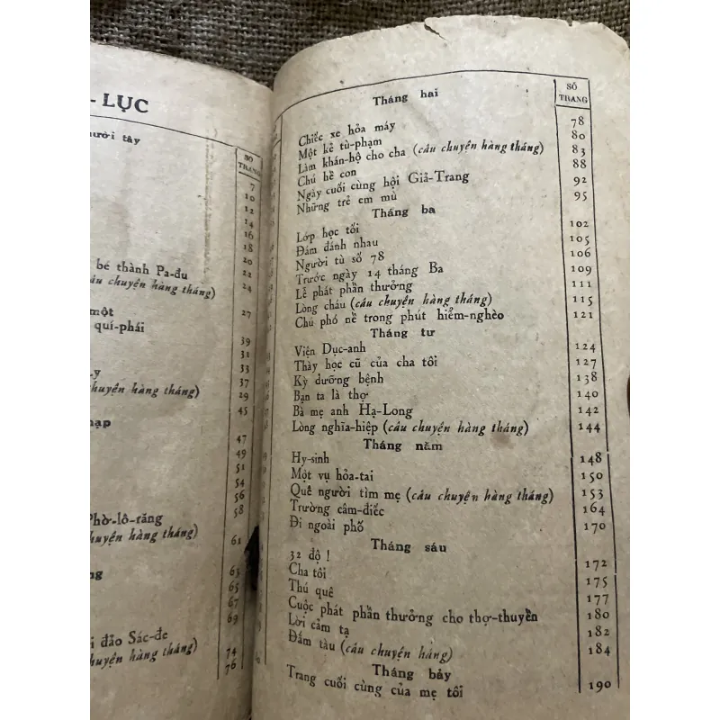 Hà Mai Anh- Tâm hồn cao thượng  999221