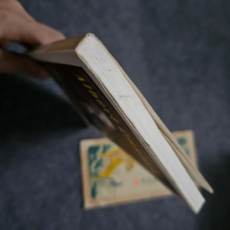 Albert Einstein mặt nhân bản  747362