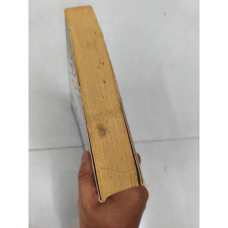 Nơi ánh đèn rực rỡ  409212