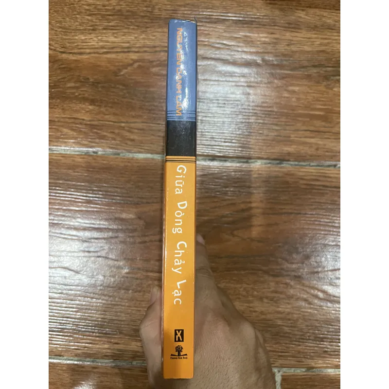Giữa dòng chảy lạc - Nguyễn Danh Lam (8) 593315