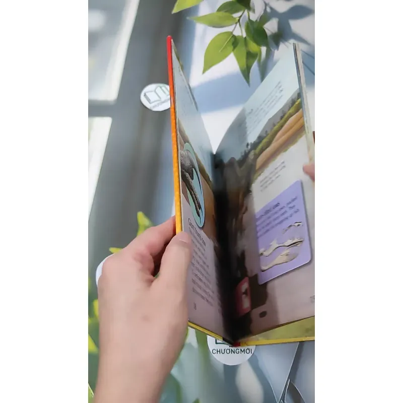 [MIỄN PHÍ BỌC SÁCH] Dinosaurs: Step into the world of the dinosaurs 990371