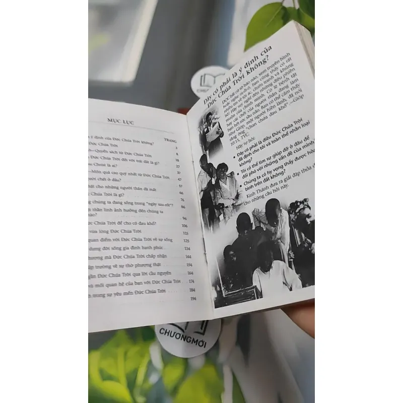 Combo: Kinh Thánh Thật Sự Dạy Gì, Đạo Yêu Thương 727295