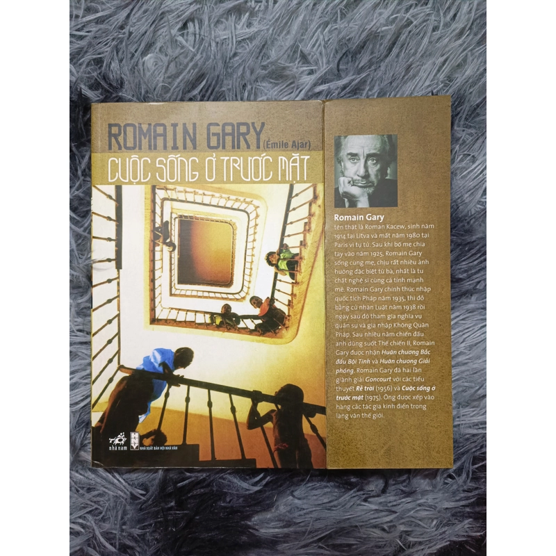 Cuộc sống ở trước mặt (Romain Gary) 528454