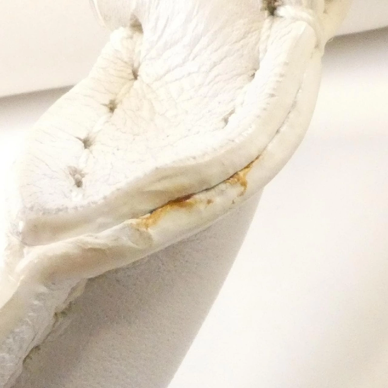 Túi Celine Trapeze 169543PWA 616606