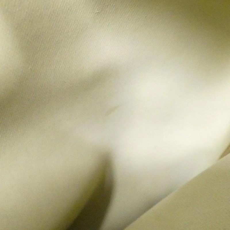 Túi đeo vai Loewe - Hàng hiệu Authentic 803174