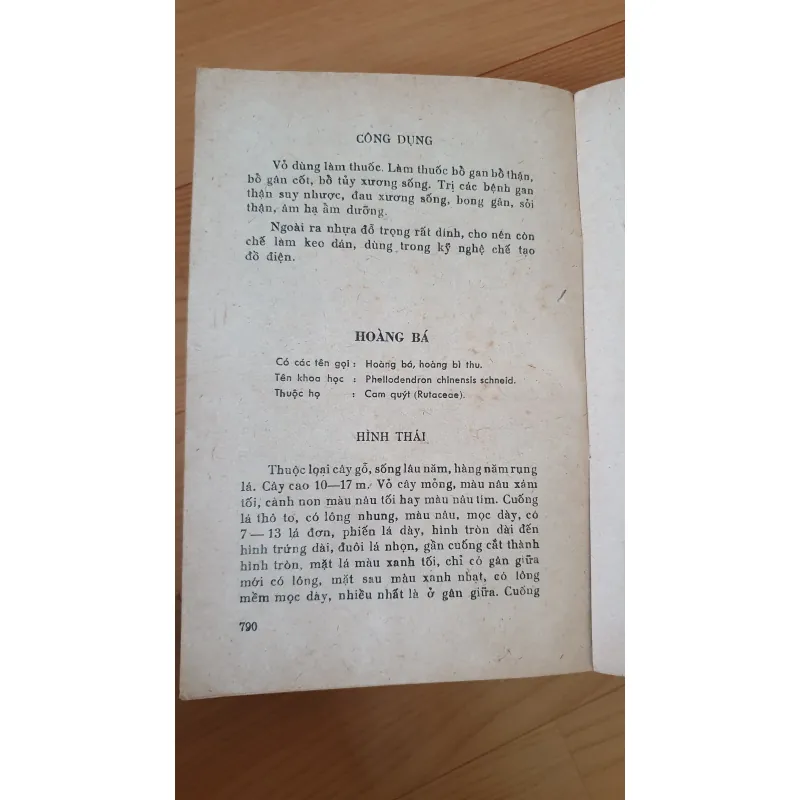 KỸ THUẬT TRỒNG VÀ CHẾ BIẾN DƯỢC LIỆU  751647