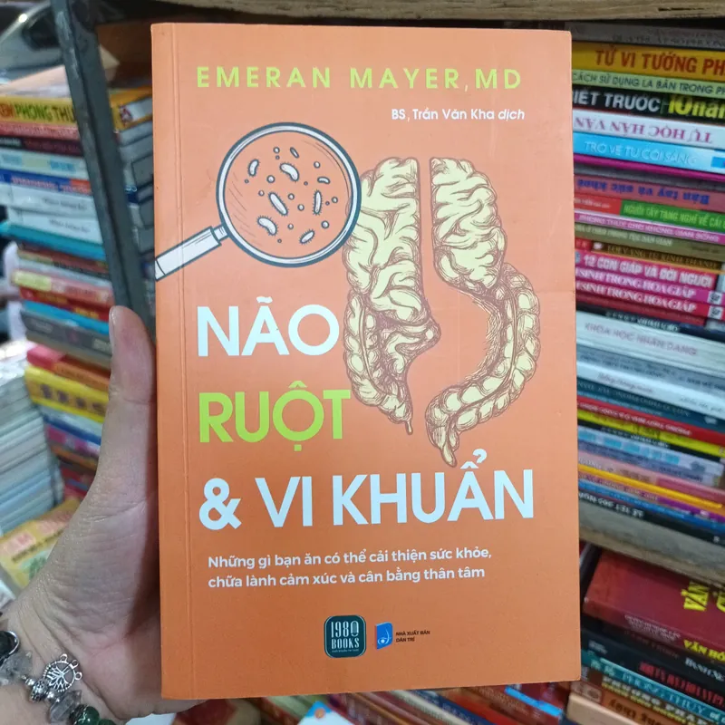 Não Ruột & Vi Khuẩn 738076