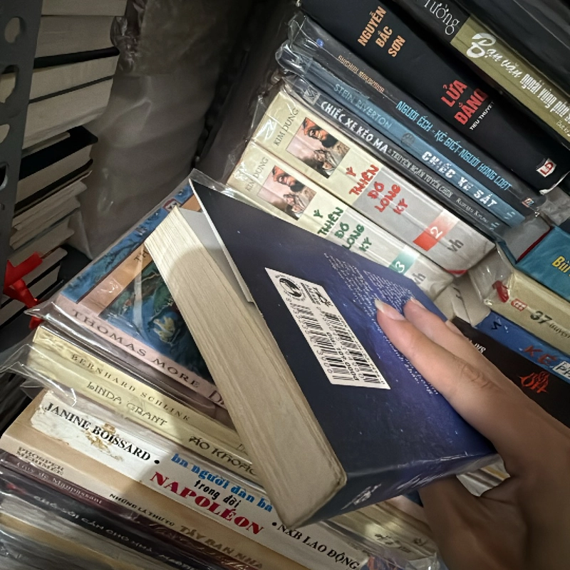 Những ngày tươi đẹp 463881