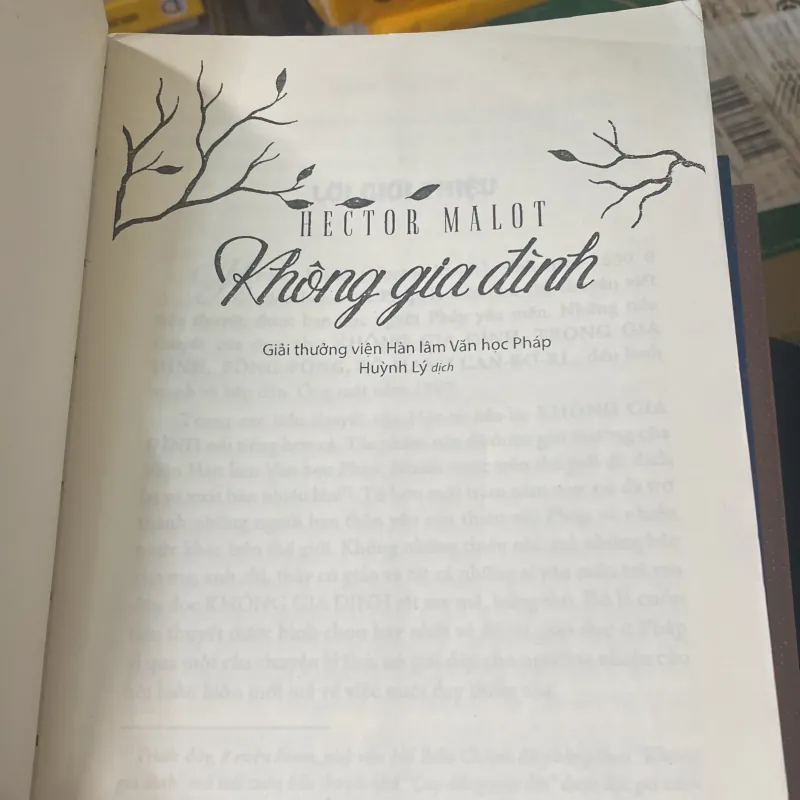 Không Gia Đình - Hector Malot#HATRA- bìa mềm 564945