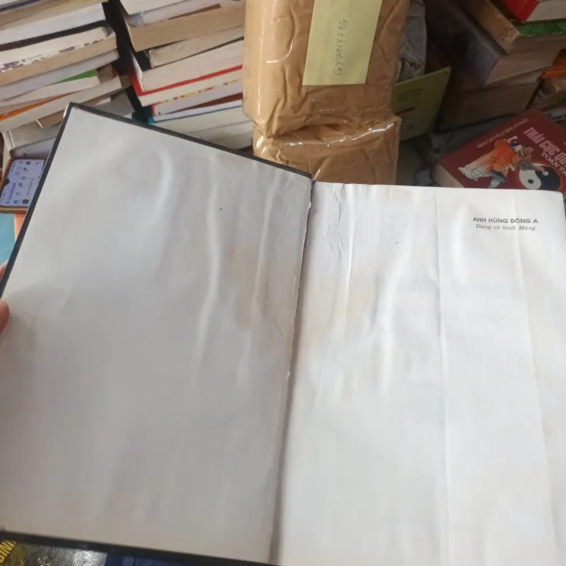 Anh Hùng Đông A Dựng Cờ Bình Mông - Yên Tử Cư Sĩ Trần Đại Sỹ 1027925