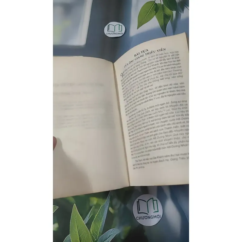 Hồi Dương Nhơn Quả 1018902