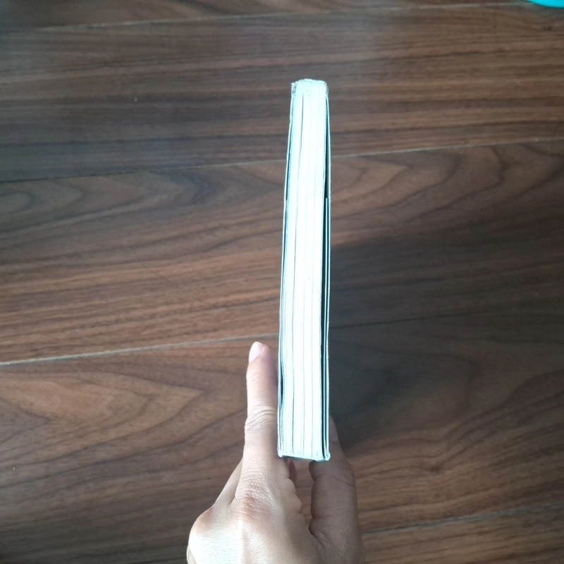 Bên rặng tuyết sơn 545505