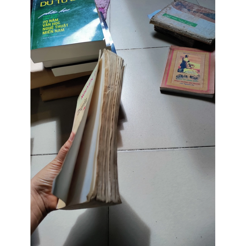 Nguyễn du truyện kiều 462926