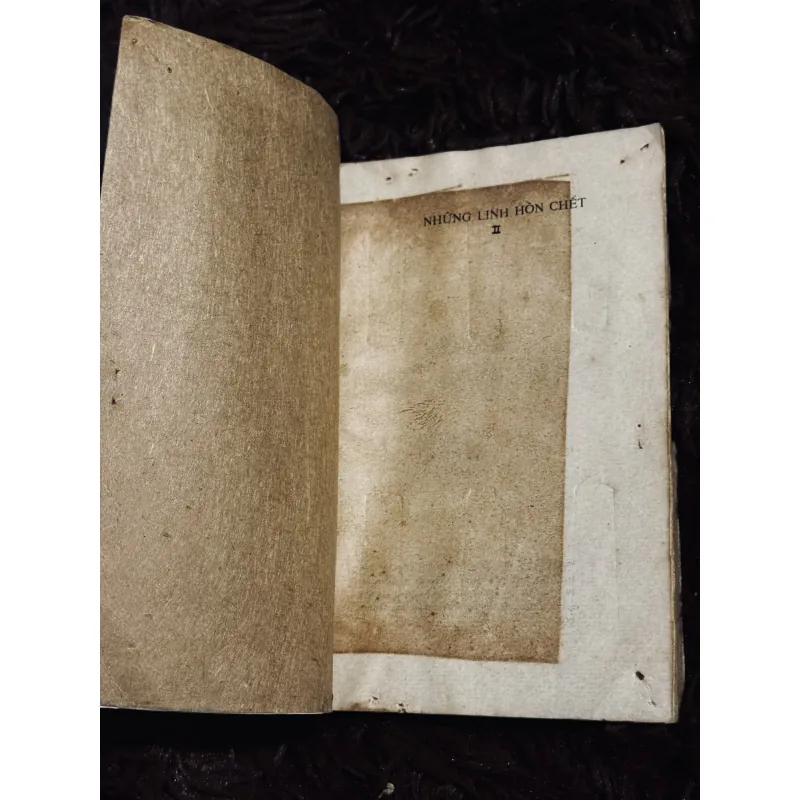 Những linh hồn chết 999154