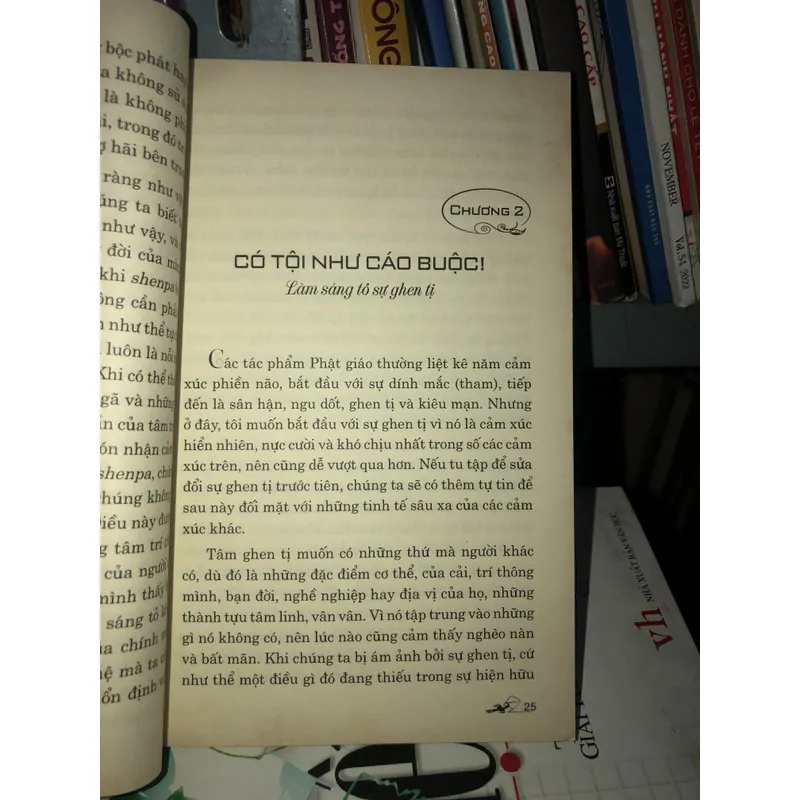 Linh quang hé lộ - Dzigar Kongtrul 728211