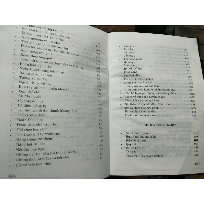 Mai hoa dịch số 996600