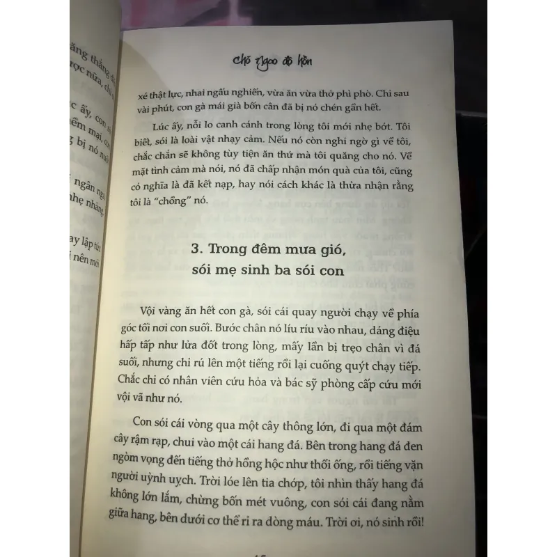 Chó ngao độ hồn - Thẩm Thạch Khê 1027048