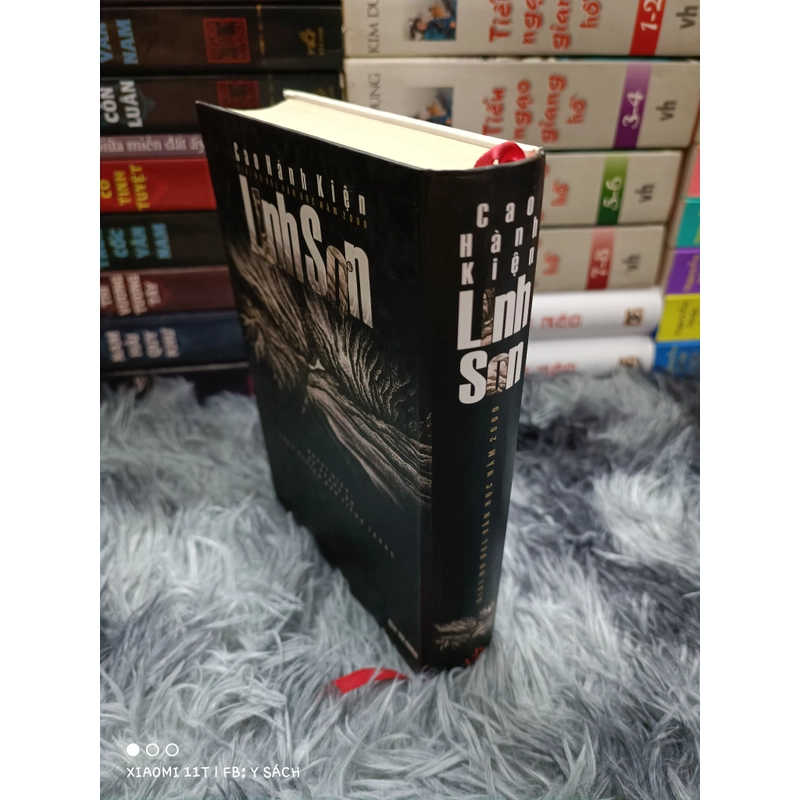 Linh Sơn (Cao Hành Kiện) 459906