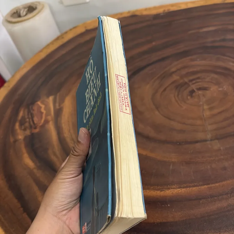 [Rách Góc Trang Cuối] - II Tiểu Thuyết: Chút Phận Linh Đinh - Hồ Biểu Chánh - 2018 1001915