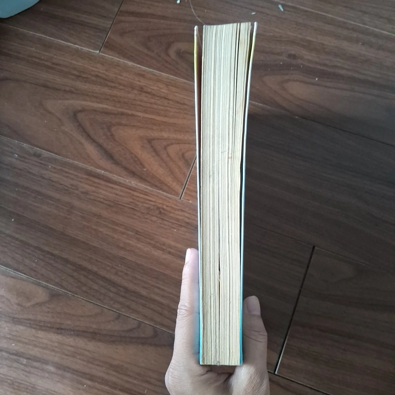 Chỉ vì yêu 509974