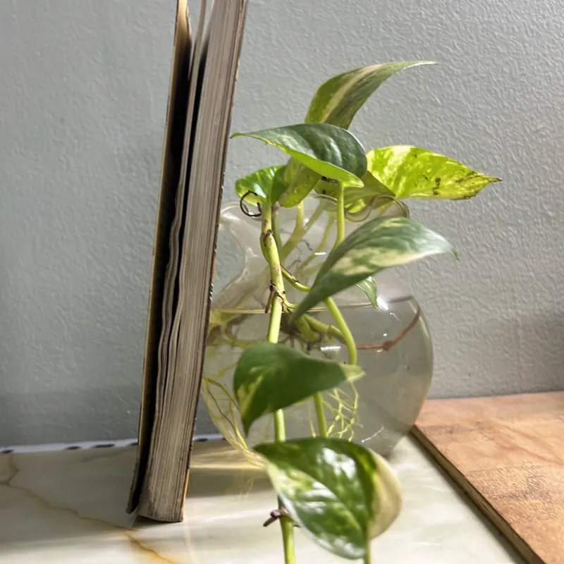 Nhật ký học làm bánh 750777