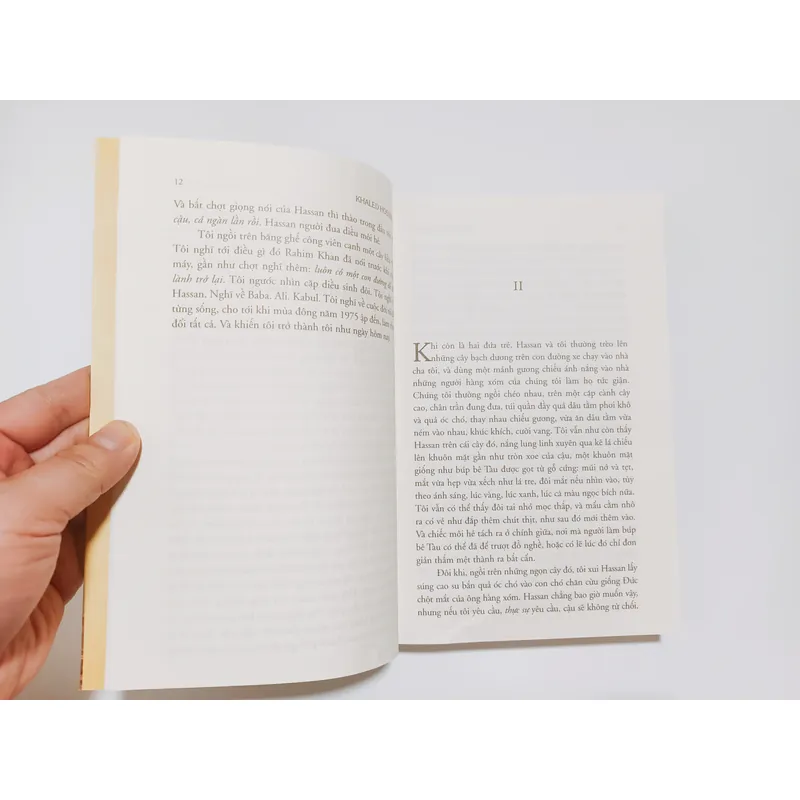 Người Đua Diều 713480