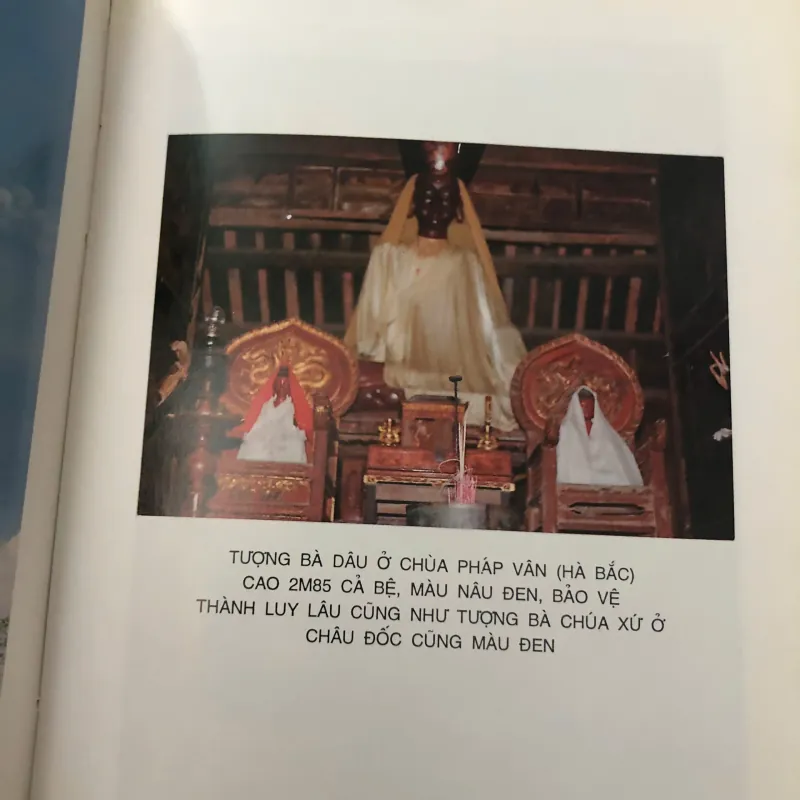 Trầu Cau Việt Điện Thư - Nguyễn Ngọc Chương - Nghiên cứu Văn hóa 706070