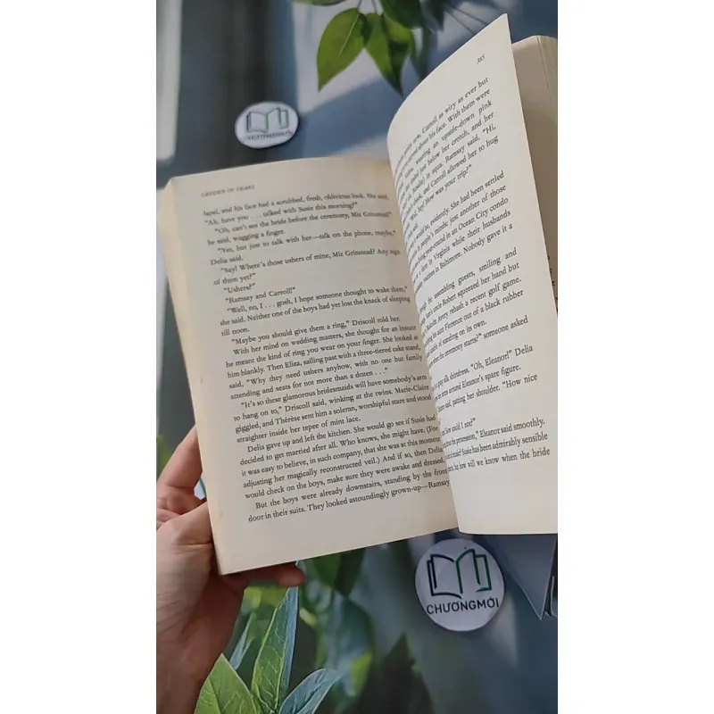 Ladder of Years - Anne Tyler 1033588