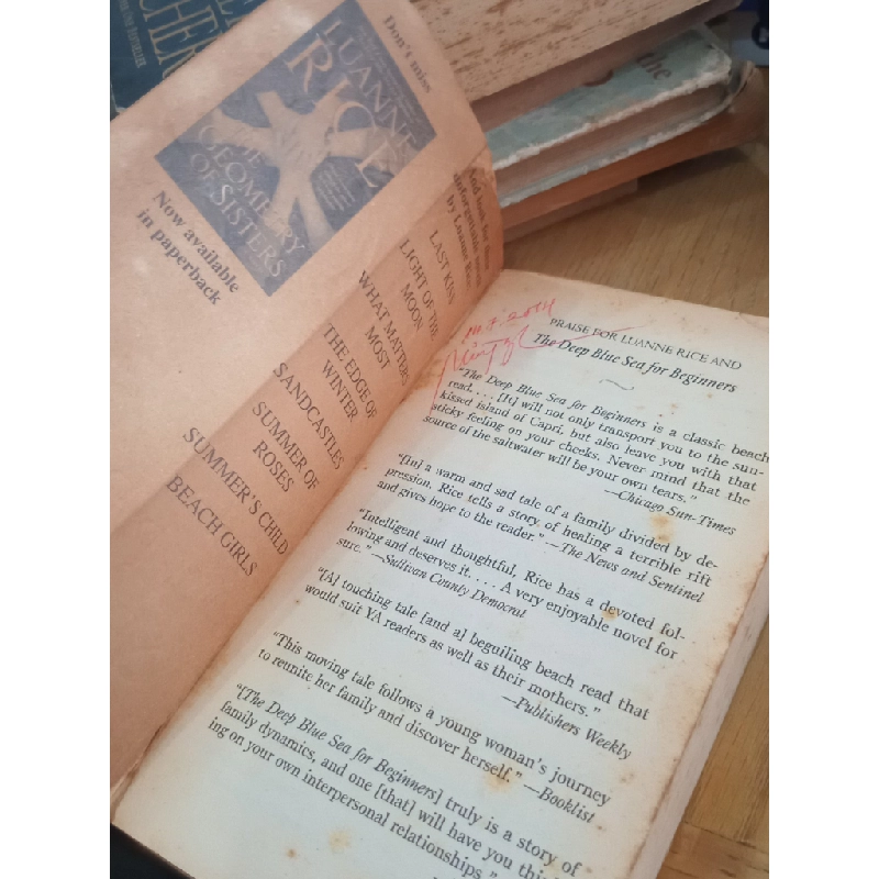 The Deep Blue Sea for Beginners - Luanne Rice 523011
