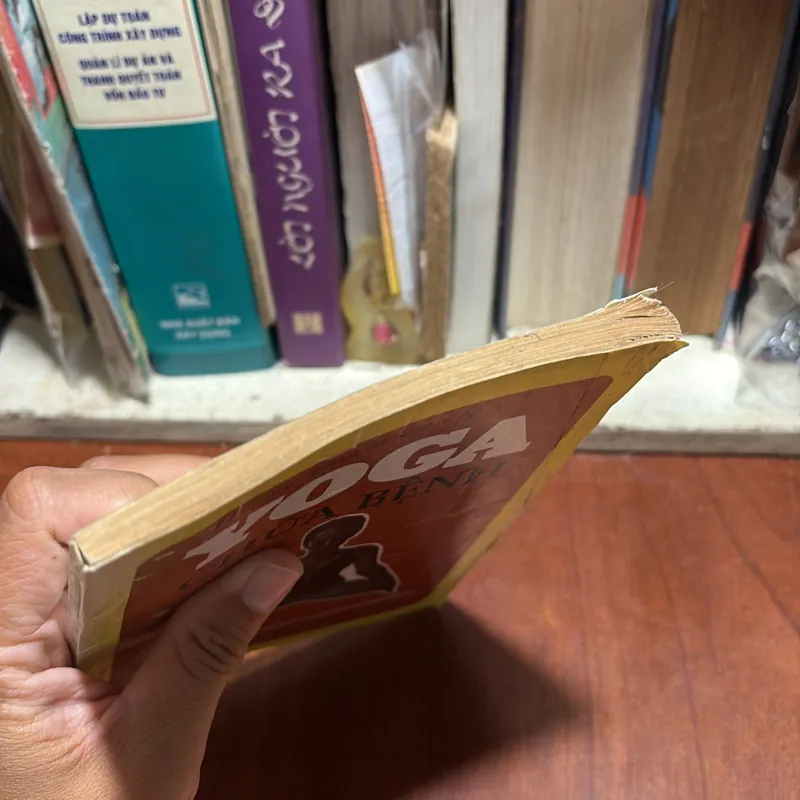 II Sức Khoẻ: Yoga Chữa Bệnh - Dr. Phulgenda Sinha - 1994 1012816