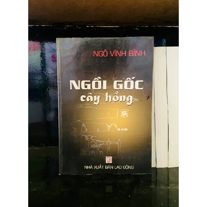 Nguồn gốc cây hồng - Ngô Vĩnh Bình 555534