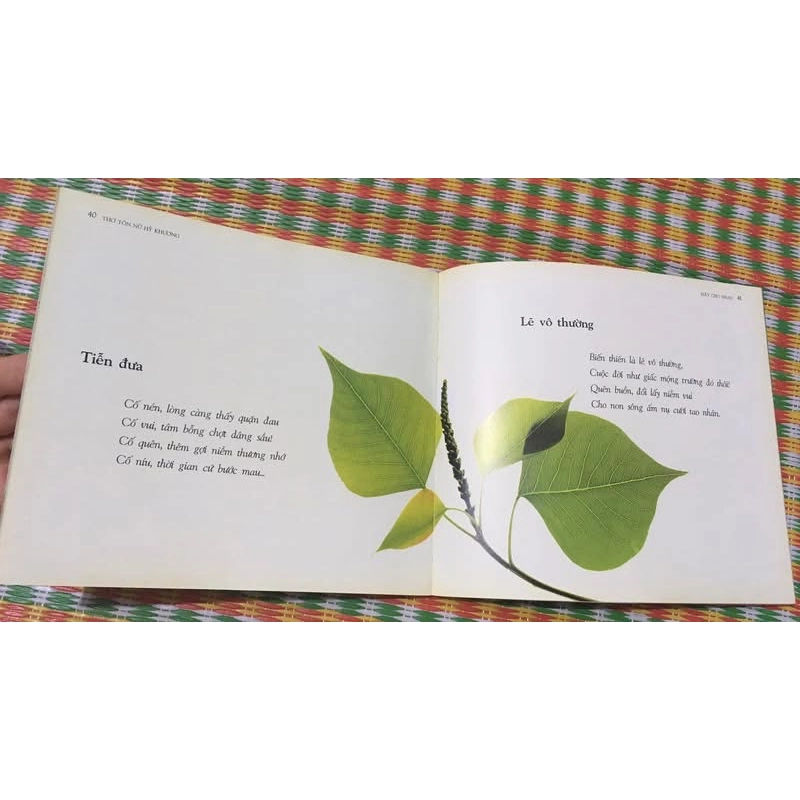 Những bài thơ được nhiều người yêu thích của Tôn Nữ Hỷ Khương - Hãy cho nhau 463308