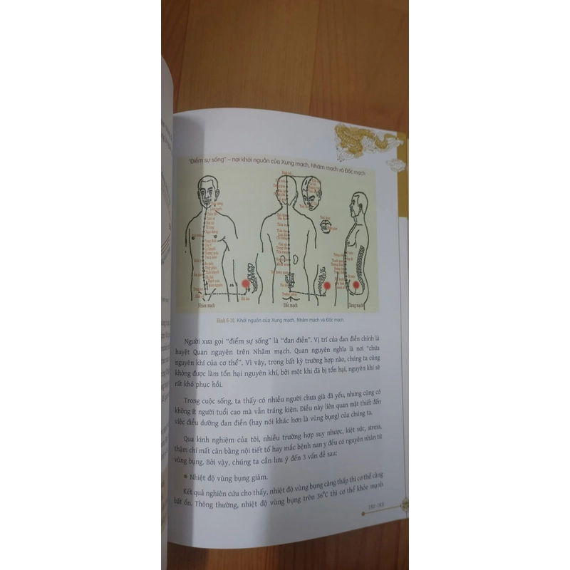 DƯỠNG SINH THÔNG KINH LẠC  517246