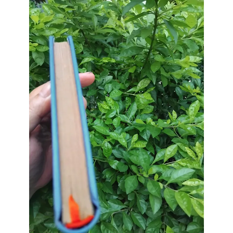 Cây sáo nàng Tan tập truyện Albania 1004721