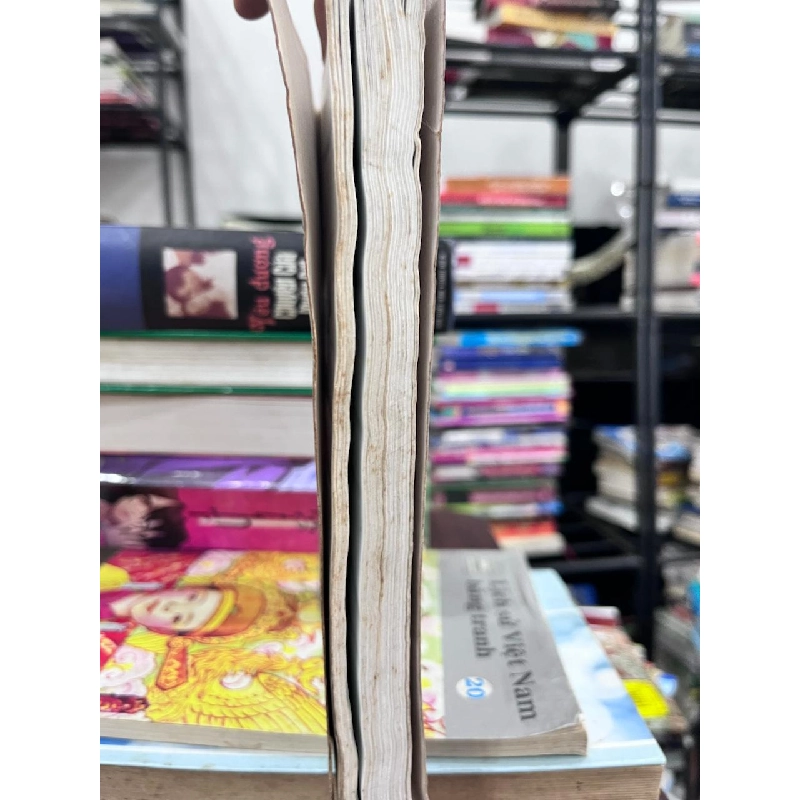 Lịch Sử Việt Nam - Những trang đoạn trường - Nhiều tác giả 934402