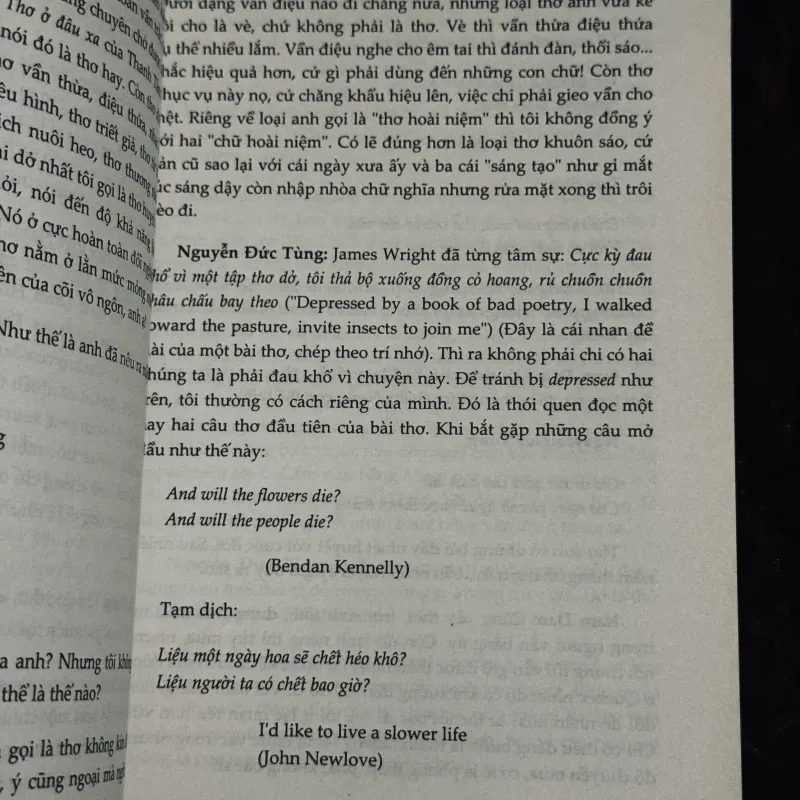 Thơ đến từ đâu 999298