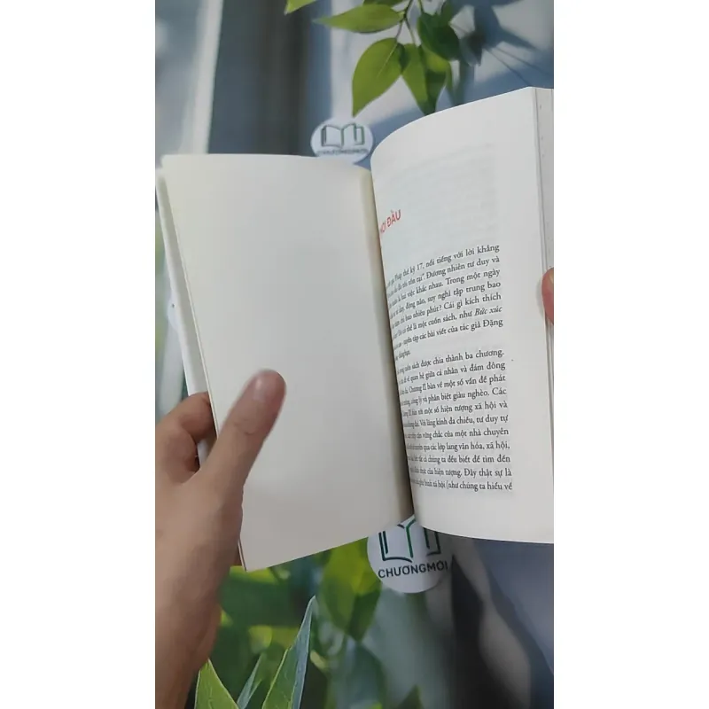 Bức Xúc Không Làm Ta Vô Can - Đặng Hoàng Giang 961162