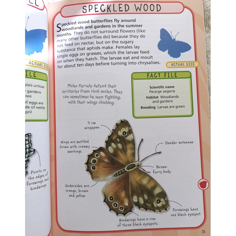 SPOT 50 INSECTS  405261